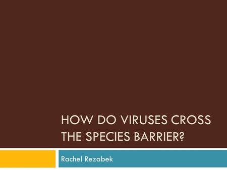 HOW DO VIRUSES CROSS THE SPECIES BARRIER? Rachel Rezabek.