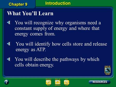 Chapter Intro-page 220 What You’ll Learn You will recognize why organisms need a constant supply of energy and where that energy comes from. You will.