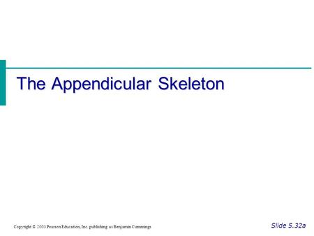 The Appendicular Skeleton Slide 5.32a Copyright © 2003 Pearson Education, Inc. publishing as Benjamin Cummings.