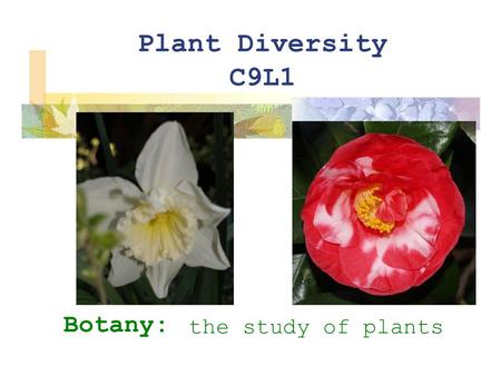 Plant Diversity C9L1 Botany: the study of plants.