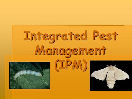 Integrated Pest Management (IPM). What is IPM?   Ecosystem-based strategy that focuses on long-term prevention of pests or their damage through a combination.