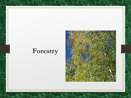 Forestry. What do we use forests for? An Older View of Canadian Forestry https://www.youtube.com/watch?v=upsZZ2s3xv8.