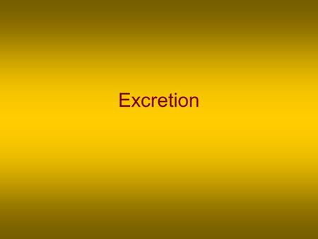Excretion. I. Wastes A.Toxic wastes are excreted B.Nontoxic wastes are excreted or recycled to be used again C.Respiration = CO 2 + Water D.Protein Metabolism.