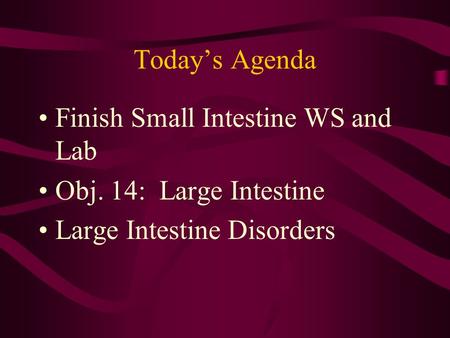 Today’s Agenda Finish Small Intestine WS and Lab Obj. 14: Large Intestine Large Intestine Disorders.