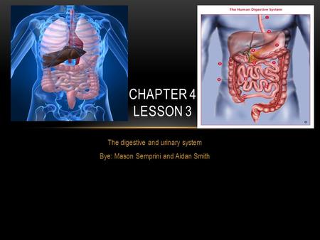 The digestive and urinary system Bye: Mason Semprini and Aidan Smith CHAPTER 4 LESSON 3.