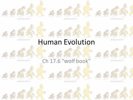 Human Evolution Ch 17.6 “wolf book”.