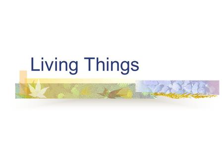 Living Things. How do we know is something is ‘living’? All living things are characterised as being able to do 3 things N R I Can you guess what these.