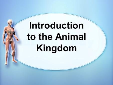 Introduction to the Animal Kingdom. 10/21/2015 Traits of the Animal Kingdom: All animals are Multicellular Eukaryotic Heterotrophic.