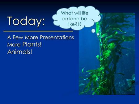 Today: A Few More Presentations More Plants! Animals! What will life on land be like?!?