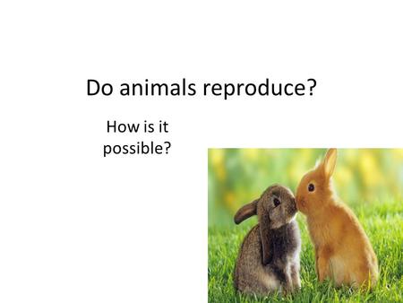 Do animals reproduce? How is it possible?.