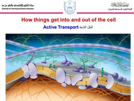 1 How things get into and out of the cell Active Transport النقل النشط.