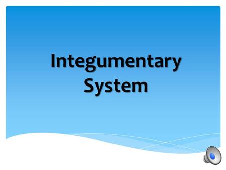 Integumentary System  Composed of skin, hair, sweat glands, and nails  The name is derived from the Latin integumentum, which means “a covering.” 