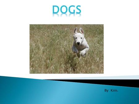By: Kim.. 1. All living things are made from the basic chemical ingredients. -Dogs like other organisms are made up of what we call DNA. -DNA is what.