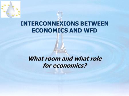 INTERCONNEXIONS BETWEEN ECONOMICS AND WFD What room and what role for economics?