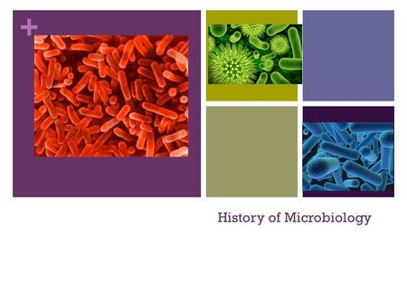 + History of Microbiology. + Old world views Disease caused by: Sins Wrong doings Associations with “sick” people Minorities Cured by: Religious leaders-