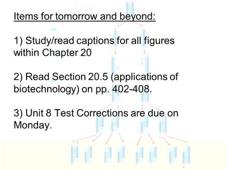 Items for tomorrow and beyond: 1) Study/read captions for all figures within Chapter 20 2) Read Section 20.5 (applications of biotechnology) on pp. 402-408.