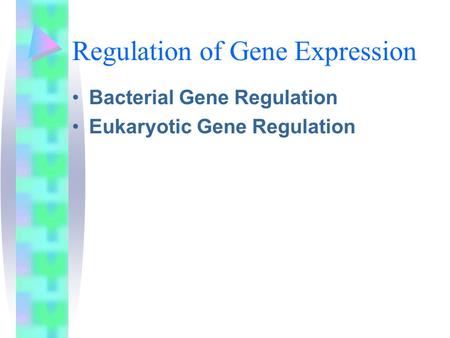 Regulation of Gene Expression Bacterial Gene Regulation Eukaryotic Gene Regulation.