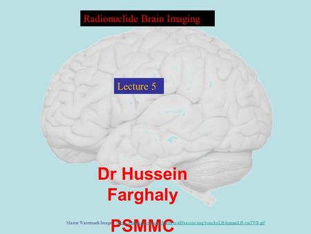 Dr Hussein Farghaly PSMMC