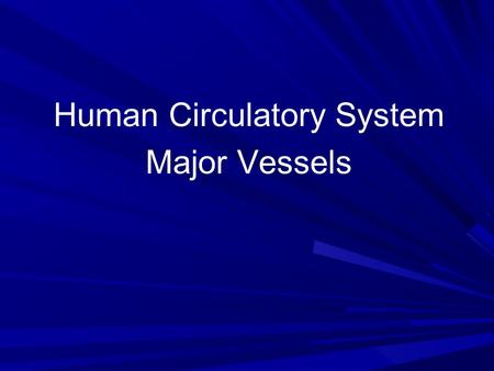 Human Circulatory System Major Vessels