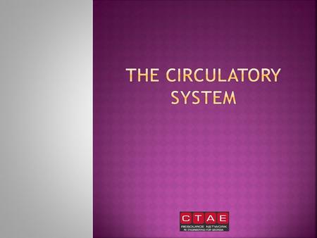  The circulatory system is made up of the heart, blood vessels, and the blood.  The circulatory system functions to transport waste products, oxygen,