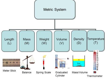 Meter Stick Balance Spring Scale Graduated Cylinder Mass/Volume
