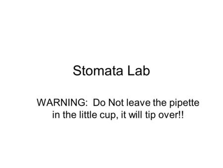 Stomata Lab WARNING: Do Not leave the pipette in the little cup, it will tip over!!