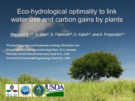 PHOTO BY S. MANZONI Eco-hydrological optimality to link water use and carbon gains by plants Manzoni S. 1,2, G. Vico 2, S. Palmroth 3, G. Katul 3,4, and.