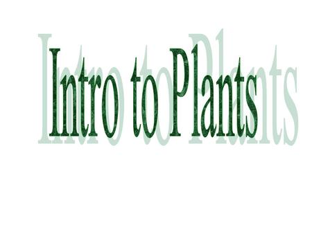 Structure of Plants Leaves Blade Veins –midrib Petiole.