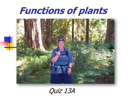 Functions of plants Quiz 13A. Plants are supported by two related systems: cell walls- cellulose turgor pressure - water pressure inside a plant cells.
