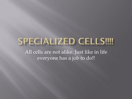 All cells are not alike. Just like in life everyone has a job to do!!