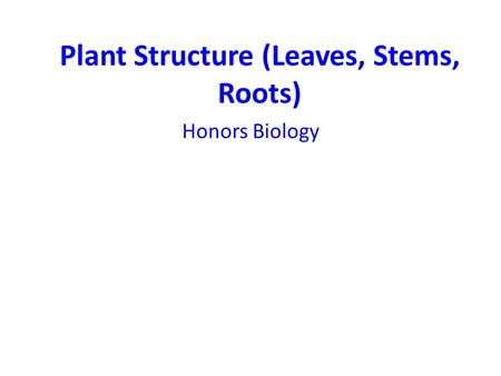 Plant Structure (Leaves, Stems, Roots)