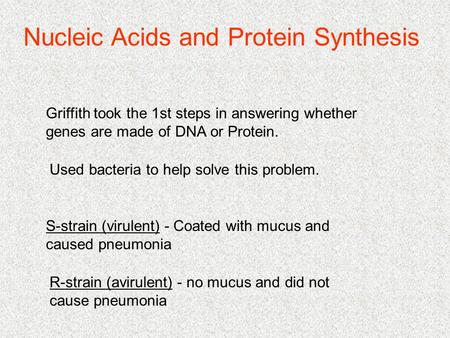 Nucleic Acids and Protein Synthesis Griffith took the 1st steps in answering whether genes are made of DNA or Protein. Used bacteria to help solve this.