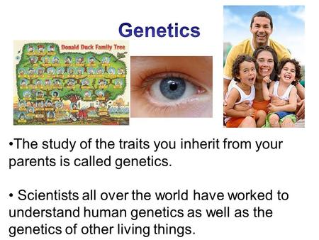 The study of the traits you inherit from your parents is called genetics. Scientists all over the world have worked to understand human genetics as well.