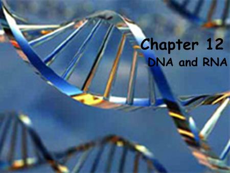 Chapter 12 DNA and RNA. Discovery of DNA How do genes work?  Several scientists from 1928-1954 began investigating the chemical nature of genes.  DNA.