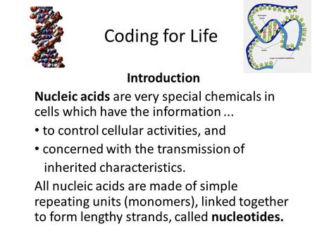 Coding for Life Introduction Nucleic acids are very special chemicals in cells which have the information... to control cellular activities, and concerned.