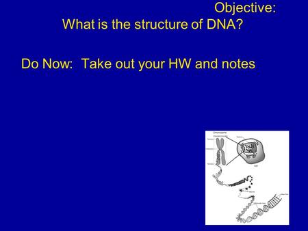 Objective: What is the structure of DNA?