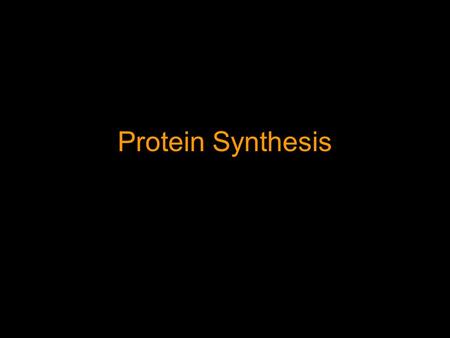 Protein Synthesis. DNA in the Cell The Central Dogma DNA  RNA  Protein.