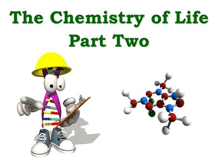 The Chemistry of Life Part Two. Proteins Elements C, H, O, N, S Types All proteins are long chains of amino acids. Changes in amino acid order create.