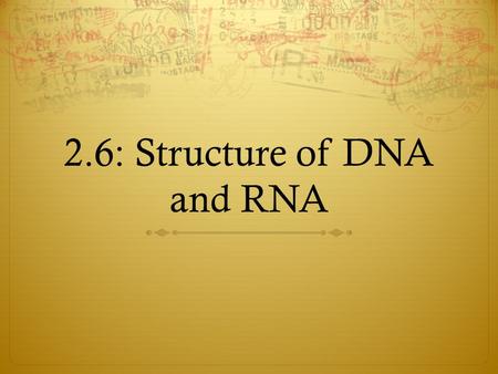 2.6: Structure of DNA and RNA