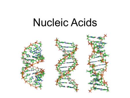 Nucleic Acids.