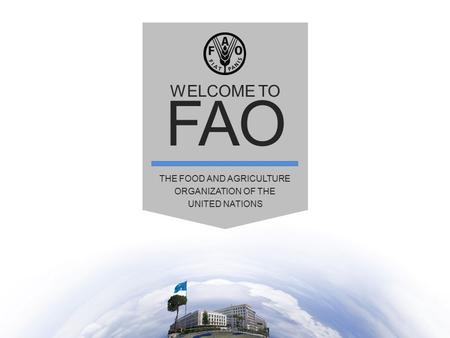 WELCOME TO FAO THE FOOD AND AGRICULTURE ORGANIZATION OF THE UNITED NATIONS.