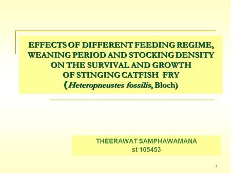 1 EFFECTS OF DIFFERENT FEEDING REGIME, WEANING PERIOD AND STOCKING DENSITY ON THE SURVIVAL AND GROWTH OF STINGING CATFISH FRY (Heteropneustes fossilis,