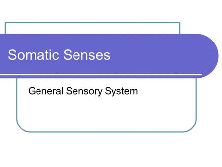 Somatic Senses General Sensory System. Sensation Define Stimulus Type Sensory Organ Sensory Receptors Exteroceptors Interoceptors Proprioceptors Receptor.
