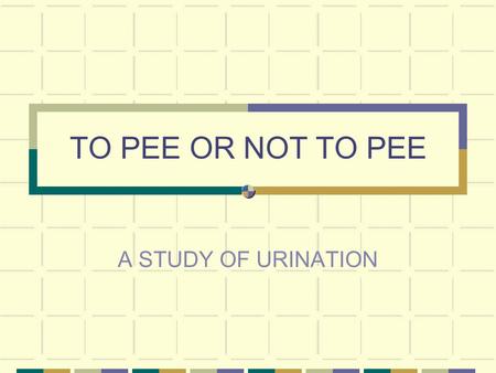 TO PEE OR NOT TO PEE A STUDY OF URINATION Urinary system Major organ is the kidney Also includes the ureters, the urinary bladder and the urethra.