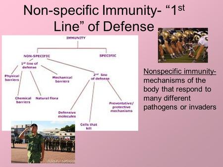 Non-specific Immunity- “1 st Line” of Defense Nonspecific immunity- mechanisms of the body that respond to many different pathogens or invaders.