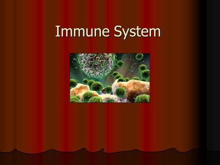 Immune System.