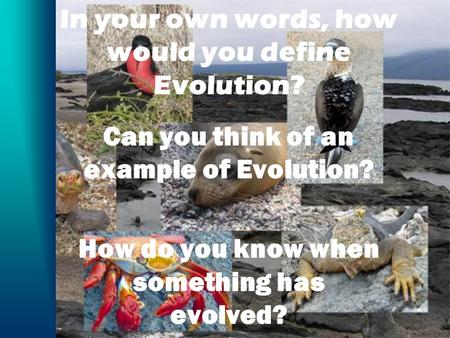 In your own words, how would you define Evolution? Can you think of an example of Evolution? How do you know when something has evolved?