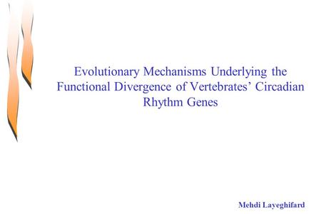 Mehdi Layeghifard Evolutionary Mechanisms Underlying the Functional Divergence of Vertebrates’ Circadian Rhythm Genes.
