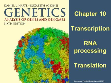 Chapter 10 Transcription RNA processing Translation Jones and Bartlett Publishers © 2005.