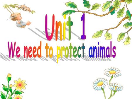 Module 9 animals in danger Unit 1 We need to protect animals. 南海区丹灶中学 张淑枝 外研版初二英语上册.